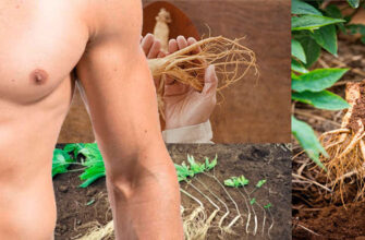 jenshen-dlya-potencii