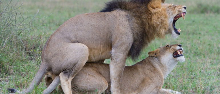 kak-povysit-libido-u-muzhchin