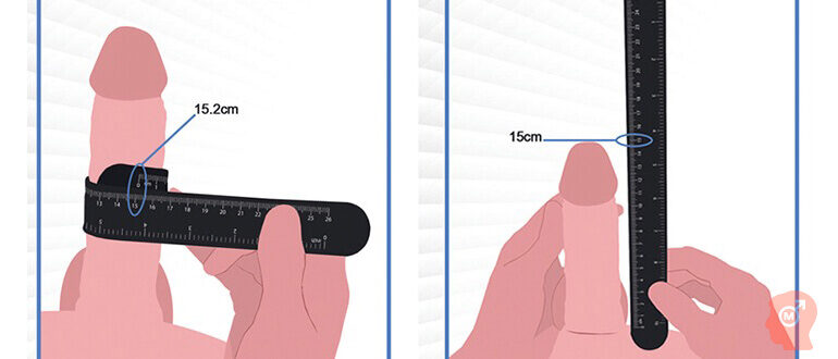 Как правильно измерить половой орган?