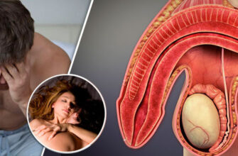 kak-vosstanovit-erektsiyu