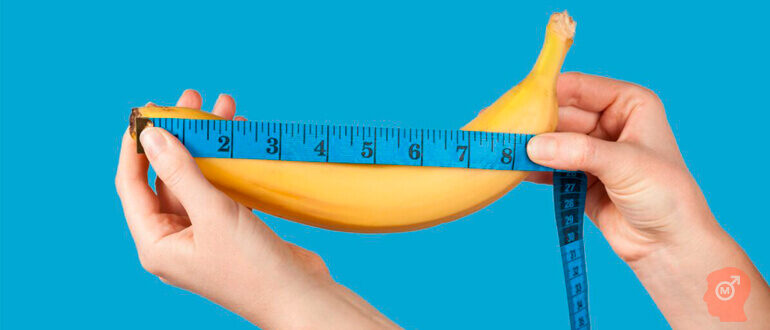 Какой размер считают нормальным?