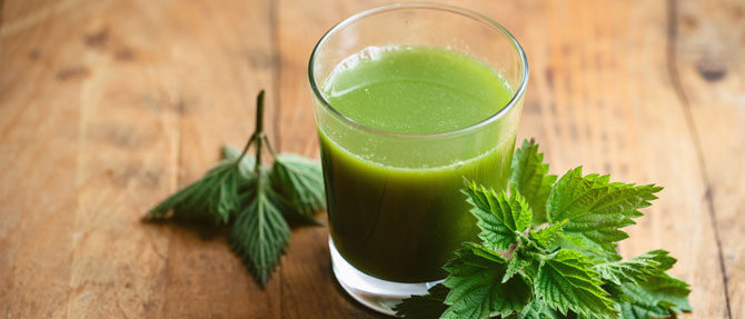 nastoi-iz-listev-krapivi