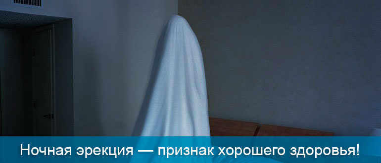 nochnaya-erektsiya