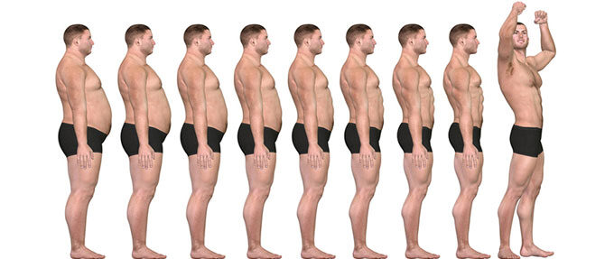 Норма тестостерона в организме