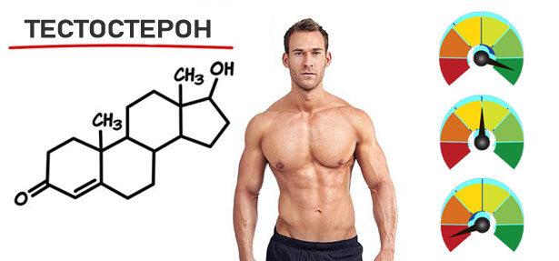 norma-urovnya-testosterona