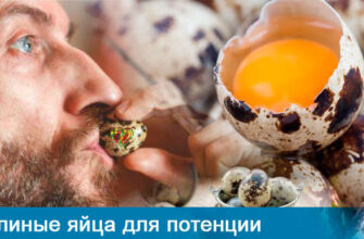 perepelinye-yaytsa-dlya-potentsii