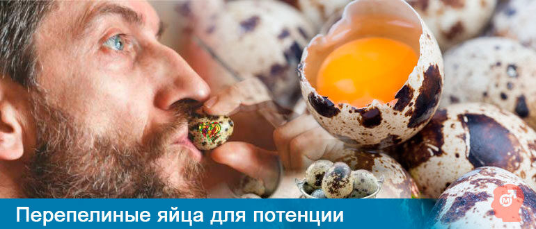perepelinye-yaytsa-dlya-potentsii