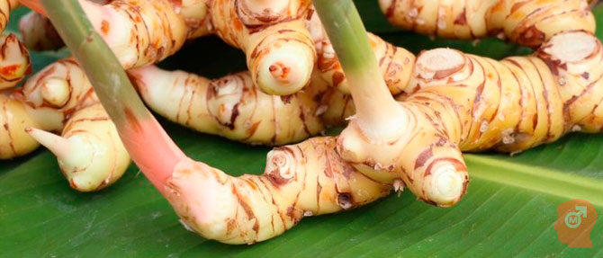 polza-kalgana-dlya-mujchin