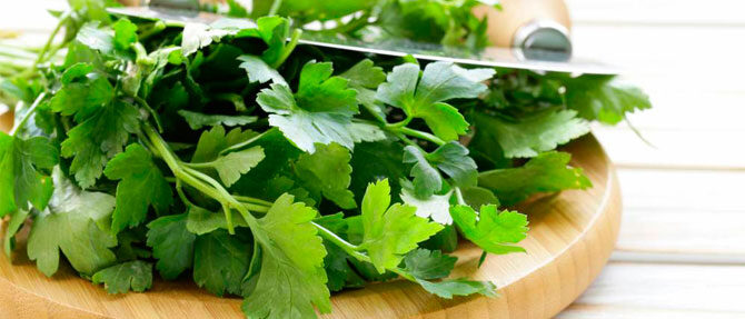 recepti-iz-petrushki