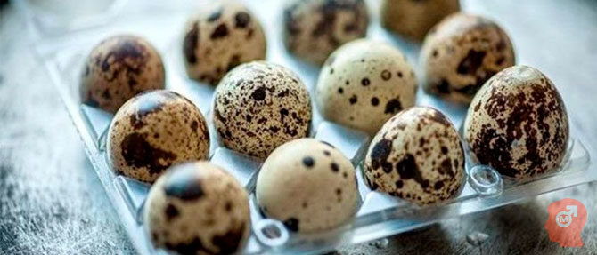 sostav-perevelinogo-yaica