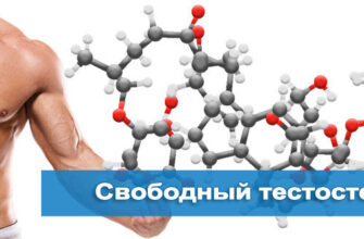 svobodni-testosteron-1