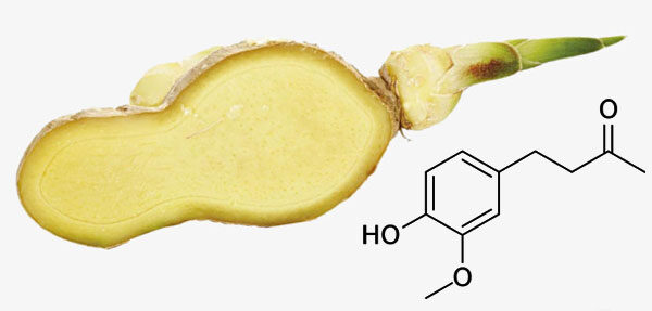 svoistva-i-sostav-imbirya1