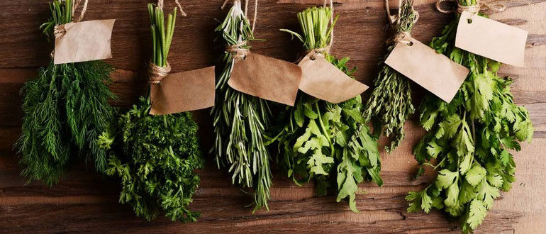 travy-dlya-povysheniya-potencii-u-muzhchin