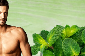 vliyanie-myaty-na-muzhskuyu-potenciyu