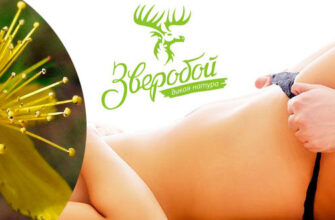 zveroboi-dlya-potencii